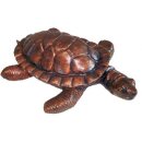 Schildkröte kupferoptik