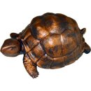 Teichschildkröte kupferoptik