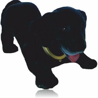 https://zwerge24.de/media/image/product/2746/md/wackelhunde-rottweiler-labrador.jpg