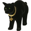 Katze stehend schwarz
